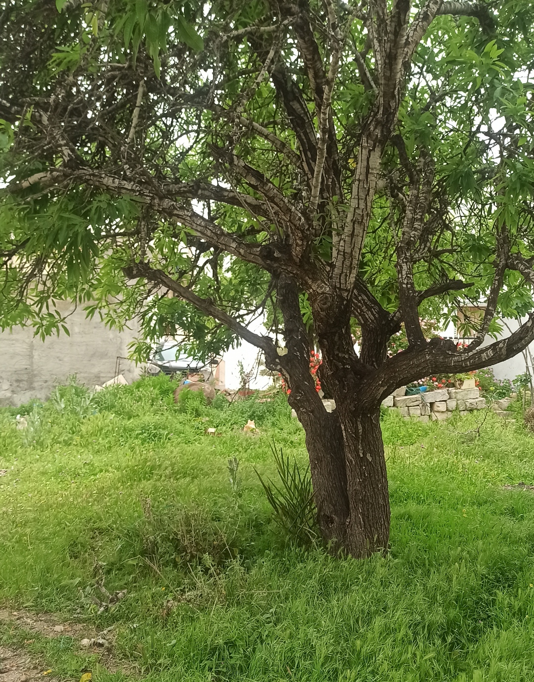 من الليبيدو إلى الطاقة الوجودية: